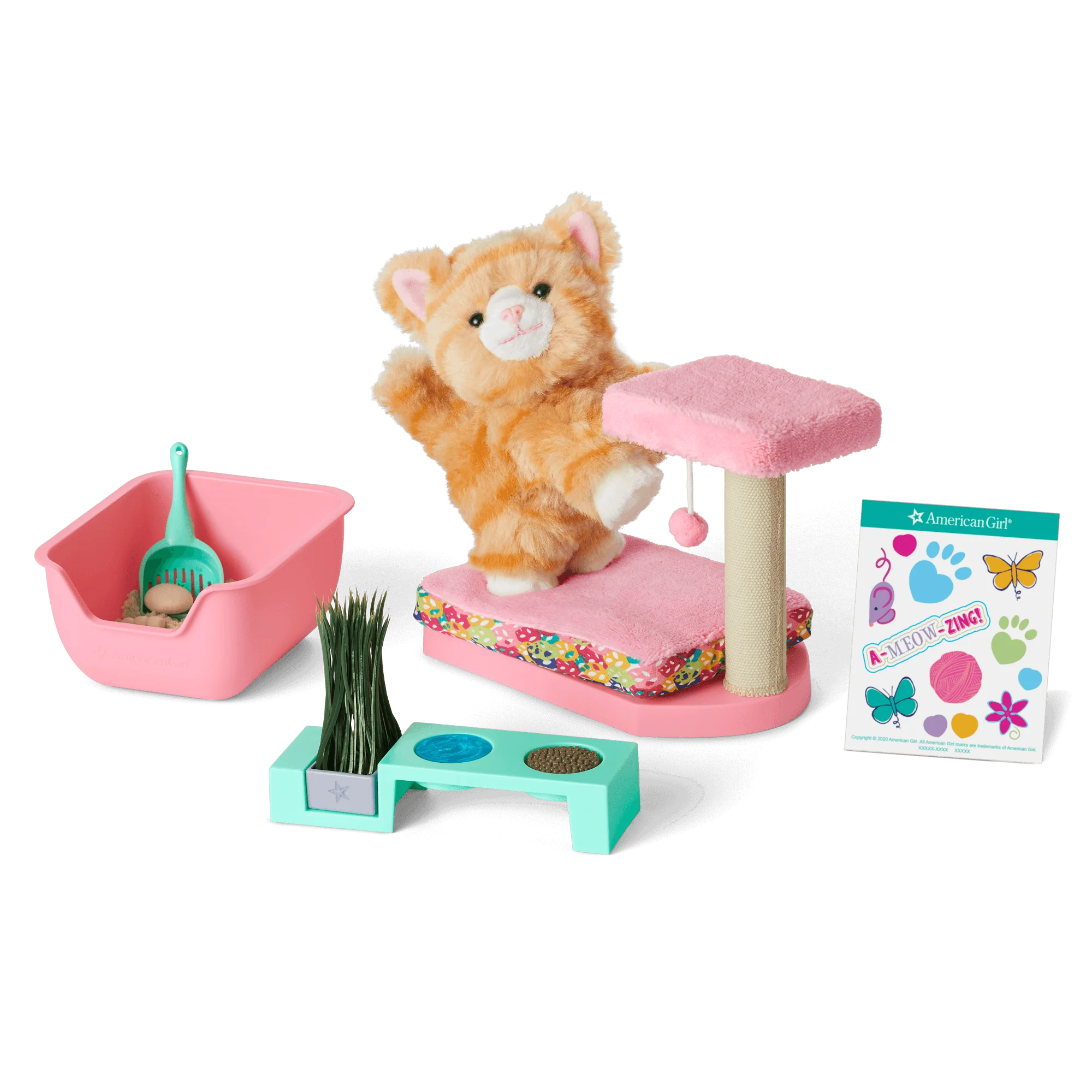 Cat Care Essentials