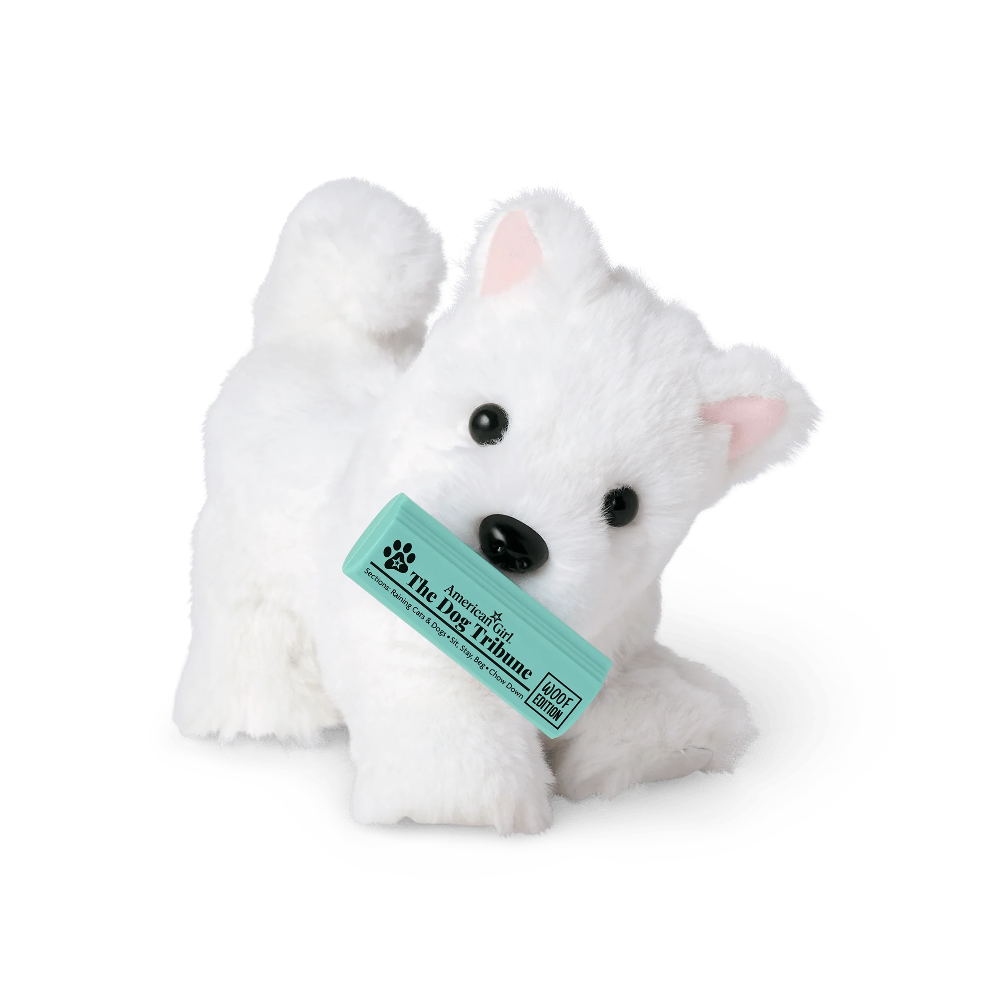 Dog Lover Basket
