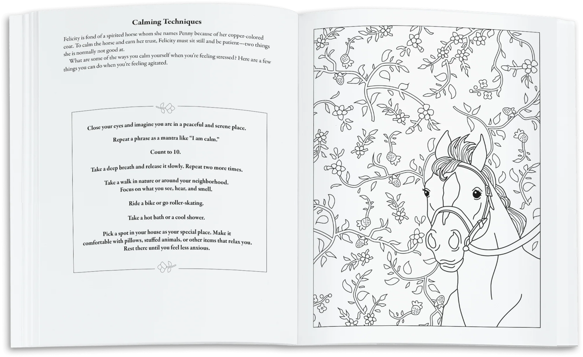 American Girl® Coloring Journal